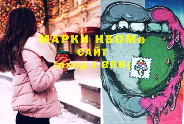 гидропоника Бородино
