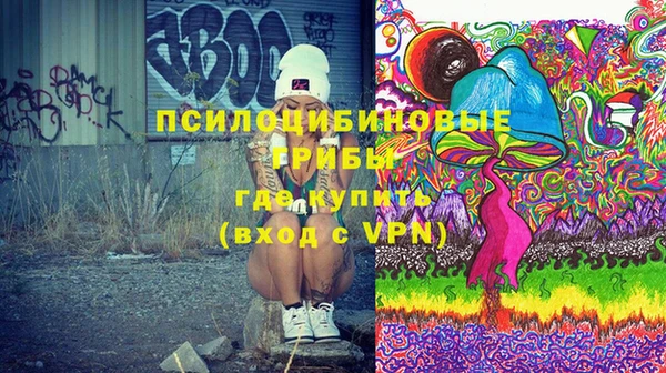 ПСИЛОЦИБИНОВЫЕ ГРИБЫ Новокубанск