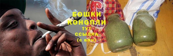 гидропоника Бородино