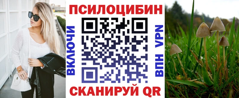 blacksprut зеркало  Михайловск  Псилоцибиновые грибы ЛСД 