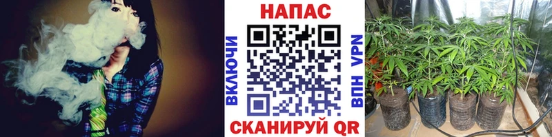 продажа наркотиков  Михайловск  Каннабис MAZAR 